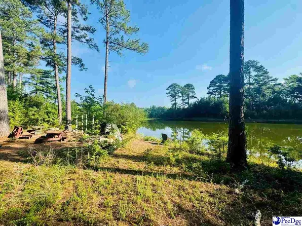 5326 Judson Rd, Clio, SC 29525