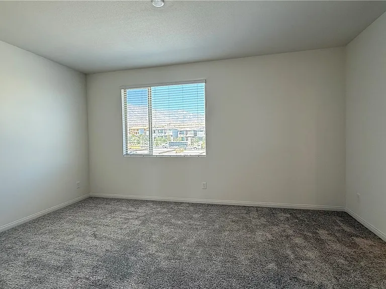 1513 Bat Hawk St — Photo 24
