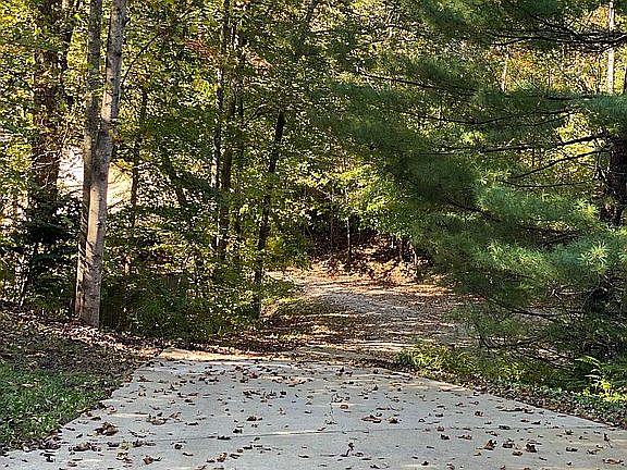 5th image of 80 Canyon Hills Dr