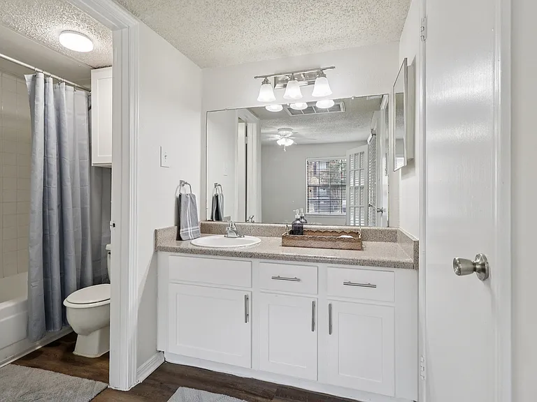 A1 Vanity and bath