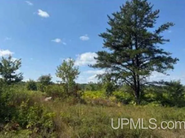 Off Co Rd #553, Gwinn, MI 49841