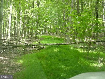 Rooster Pass, Rio, WV, 26755