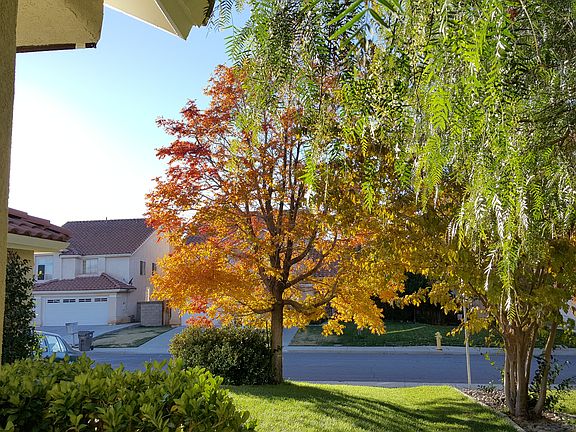 Fall