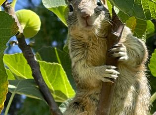 5000 S East End Ave, Chicago, IL 60615