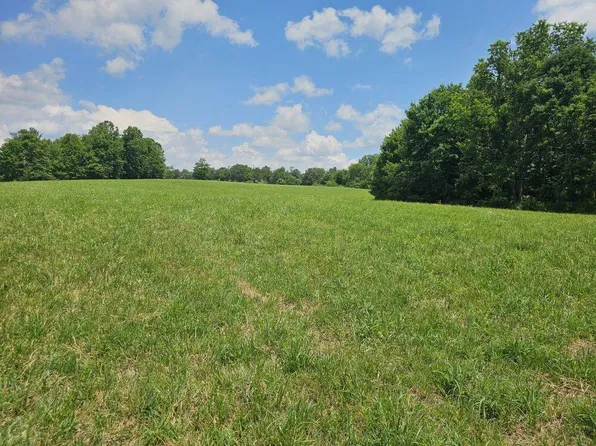 5618 Ellison Ridge Rd, Jumping Branch, WV 25969