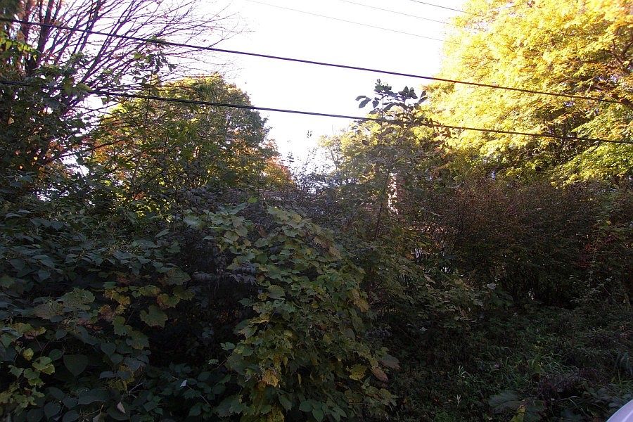 2nd image of 825 Ponderosa Dr