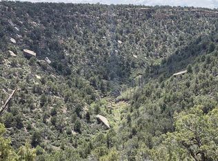 28580 Road 17.5, Pleasant View, CO 81331