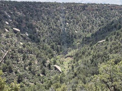 28580 Road 17.5, Pleasant View, CO, 81331