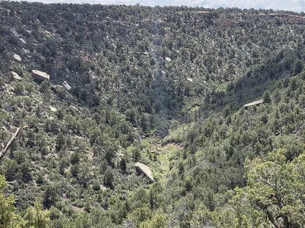 28580 Road 17.5, Pleasant View, CO 81331