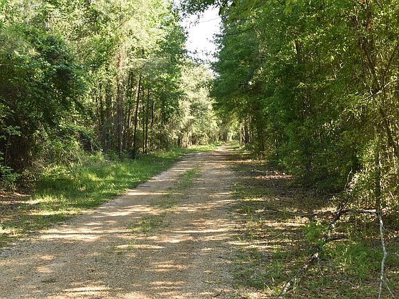 3rd image of Oceola Rd