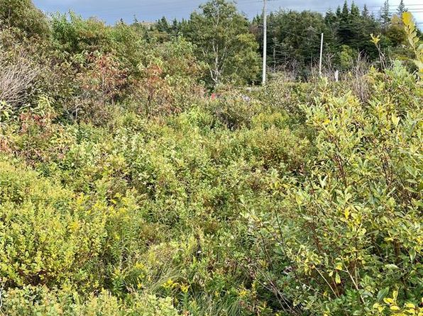 6-8 Old Road N, Salmon Cove, NL A0A3S0