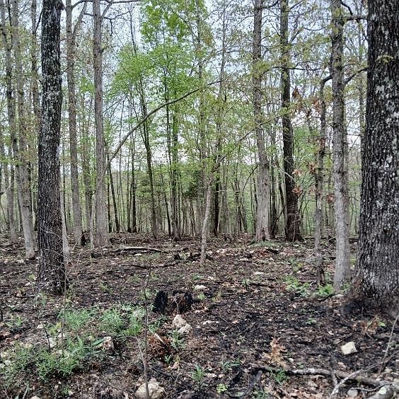 1st image of 6512 County Road 3850