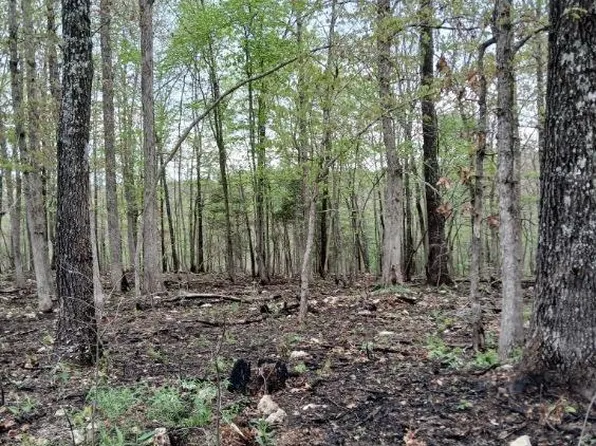 6512 County Road 3850, Peace Valley, MO 65788