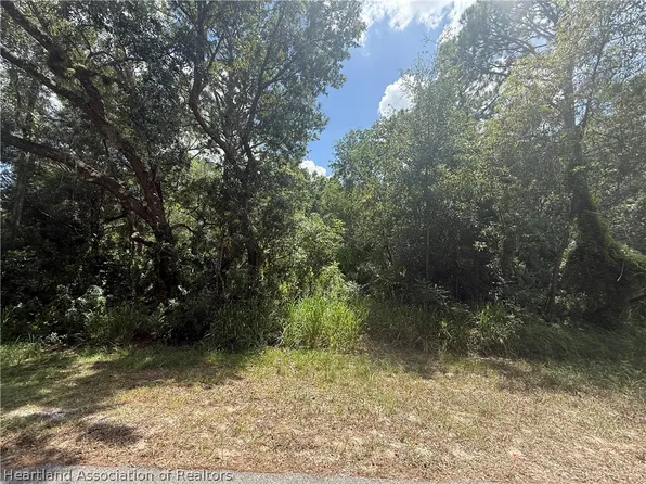 2269 W Longbottom Rd, Avon Park, FL 33825