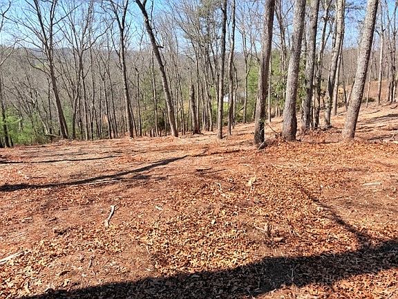 5th image of Lot 66 Autumn Fern Trail