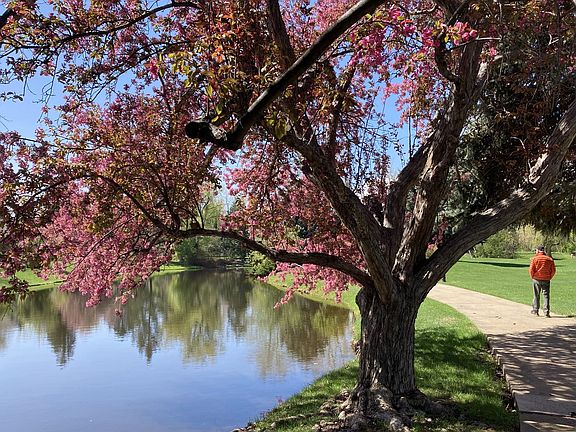 Neighborhood has ponds, grass, bike/walking paths, and is close to open space. Very quiet!