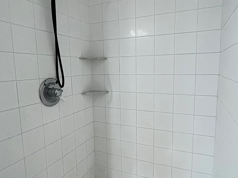 Master shower