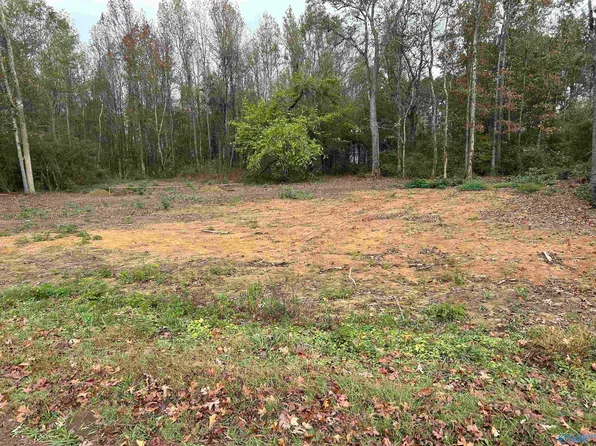 150 Robin Ln, Albertville, AL 35950