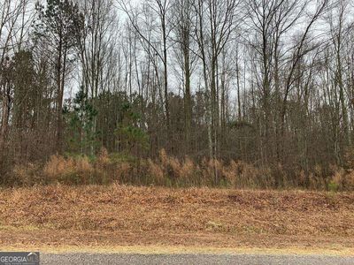 0 County Road 502, Graham, AL, 36263