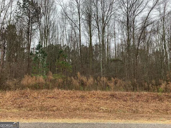 0 County Road 502, Graham, AL 36263