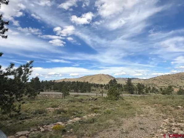 Lots 1 and 2 Highway 149, Powderhorn, CO 81243