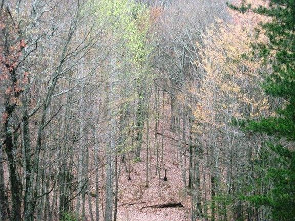 3rd image of Lake Overlook Dr