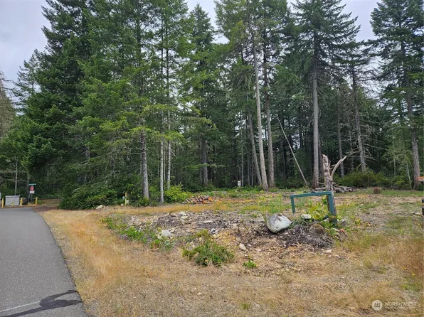 1300 N Colony Surf Drive, Lilliwaup, WA 98555