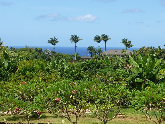 view from front lanai
