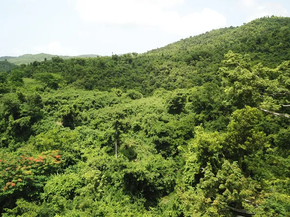 28aab Beck's Grove WE, St. Croix, VI 00840