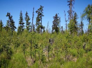 C24 25 Alaskan Wildwood Rnch, Anchor Pt, AK 99556