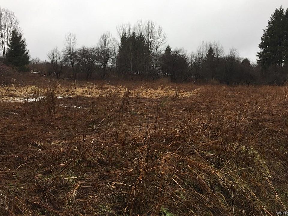 2nd image of 7927 Grove Rd