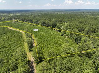 Fire Tower Rd, Hemphill, TX 75948