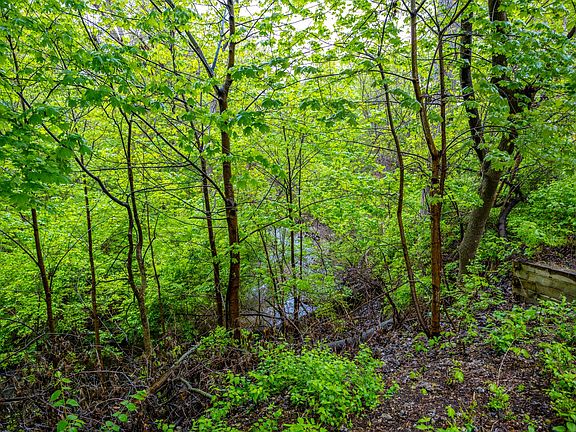 Beautiful view of the woods and creek