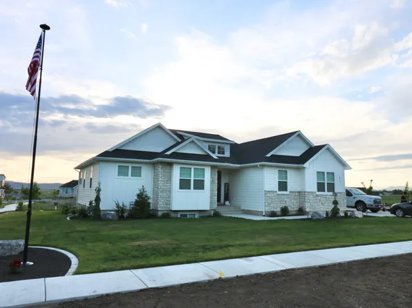 The Cottage Plan, Blueberry Springs