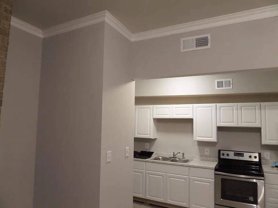 Kitchen Open to Living Room