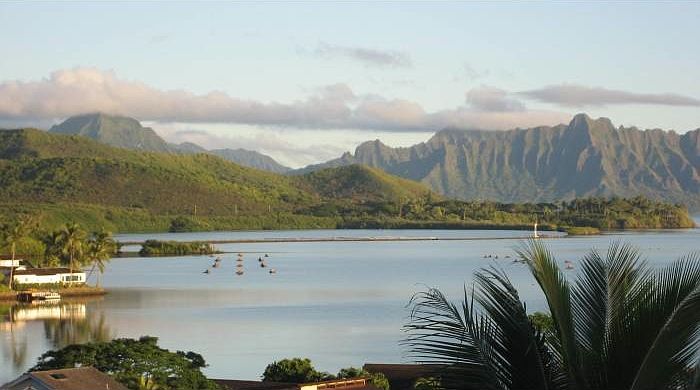 view