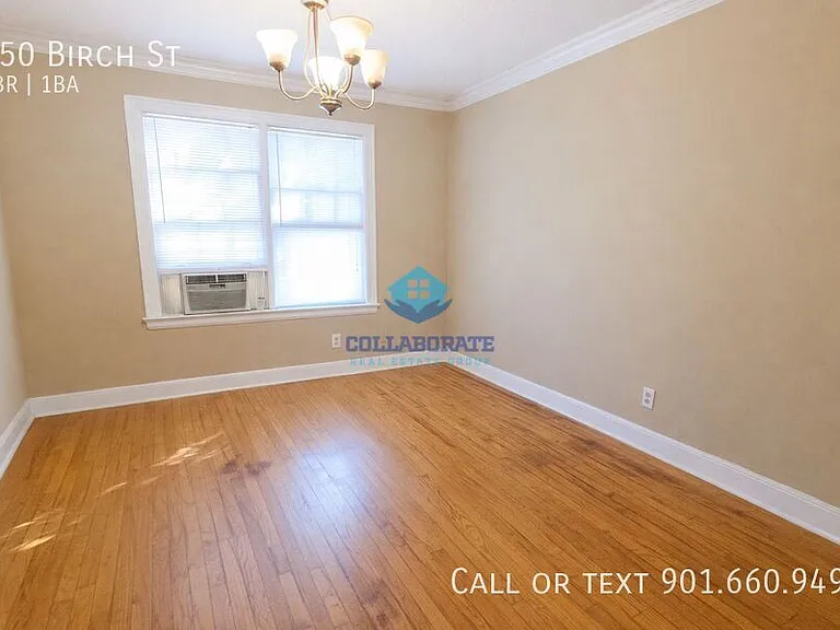950 Birch St — Photo 3
