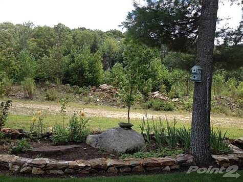 Variety of low maintenance plants for year around enjoyment