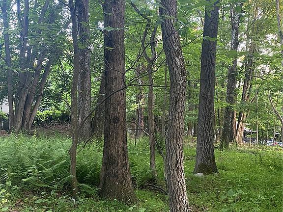 4th image of 383 Johns Rd
