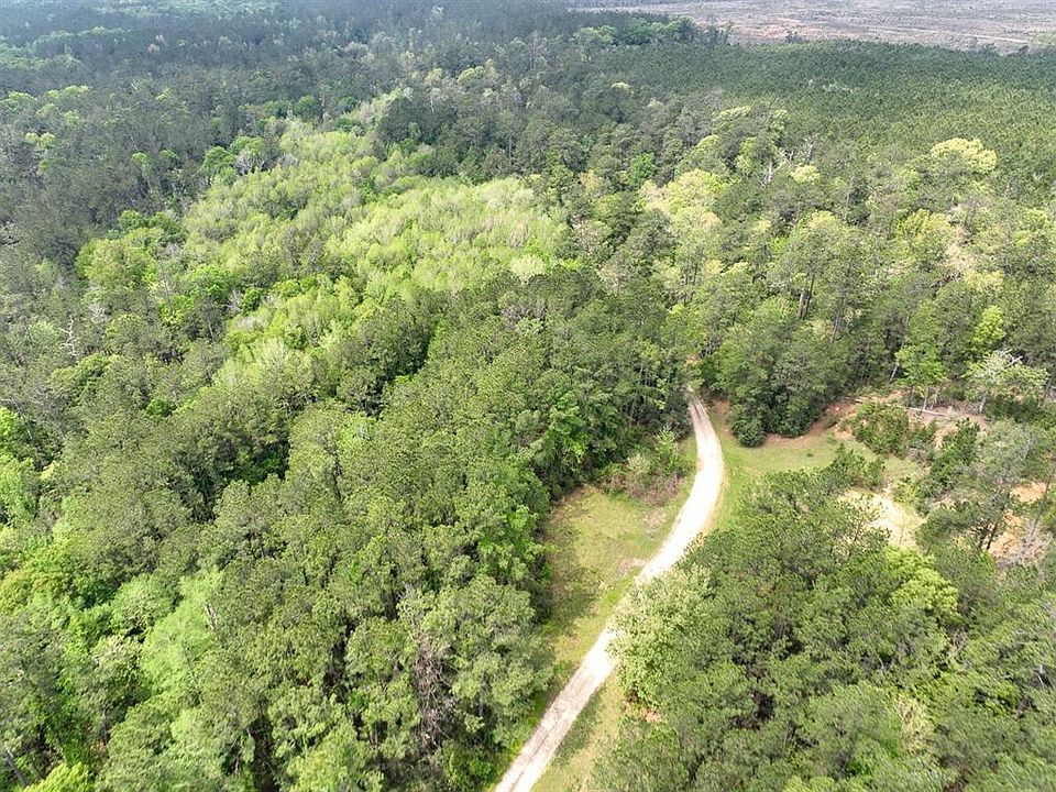 0 County Road 2012, Newton, TX 75966 MLS 80372970 Zillow