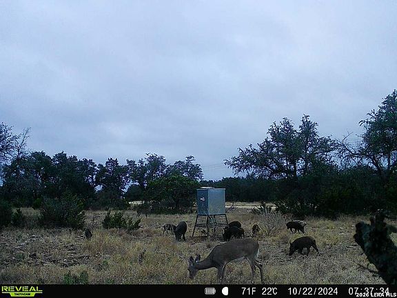 2nd image of 09 Broken Arrow Rd. LOT A1993