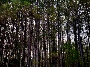 3230 Steadman Rd, Tallapoosa, GA 30176