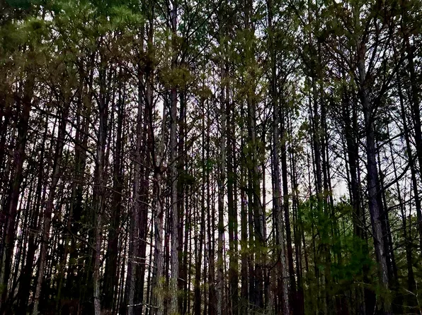 3230 Steadman Rd, Tallapoosa, GA 30176