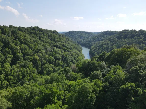 0 Clemons Ridge Rd, Silver Pt, TN 38582