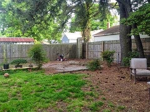 Back yard