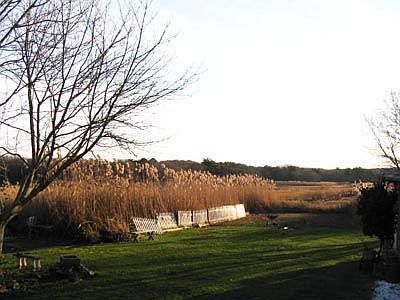 Another Marsh View