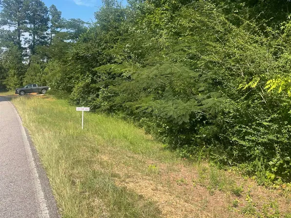 Highway 81 Lot 2, Vincent, AL 35178