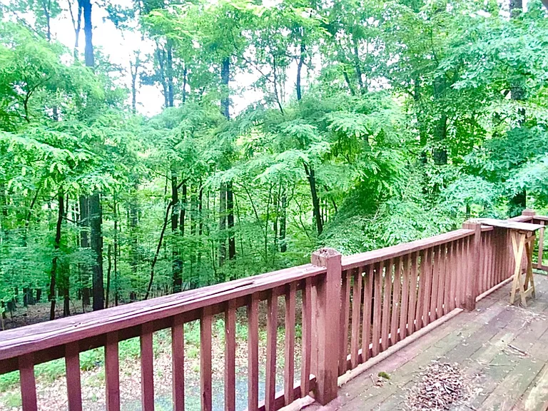 2484 Lost Hollow Path — Photo 26