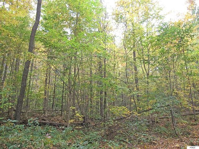 2nd image of 179 Spruce Lake Rd