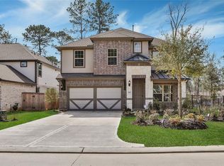 519 Carina Gaze Dr, Willis, TX 77318